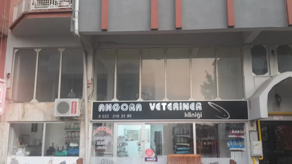 Angora Veteriner Kliniği