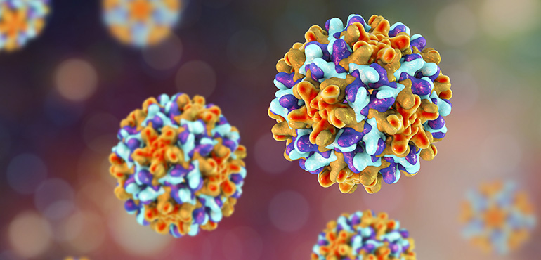 Hepatit B Nedir?